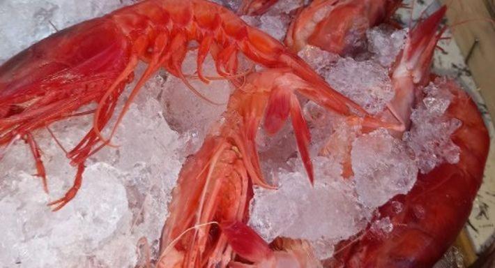 Ristorante Spaghetteria 13.5 photo 5