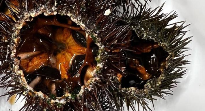 Da Me Ristorante Pizzeria photo 2