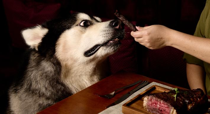 Tomahawk - Contemporary Steakhouse (Novena) photo 5