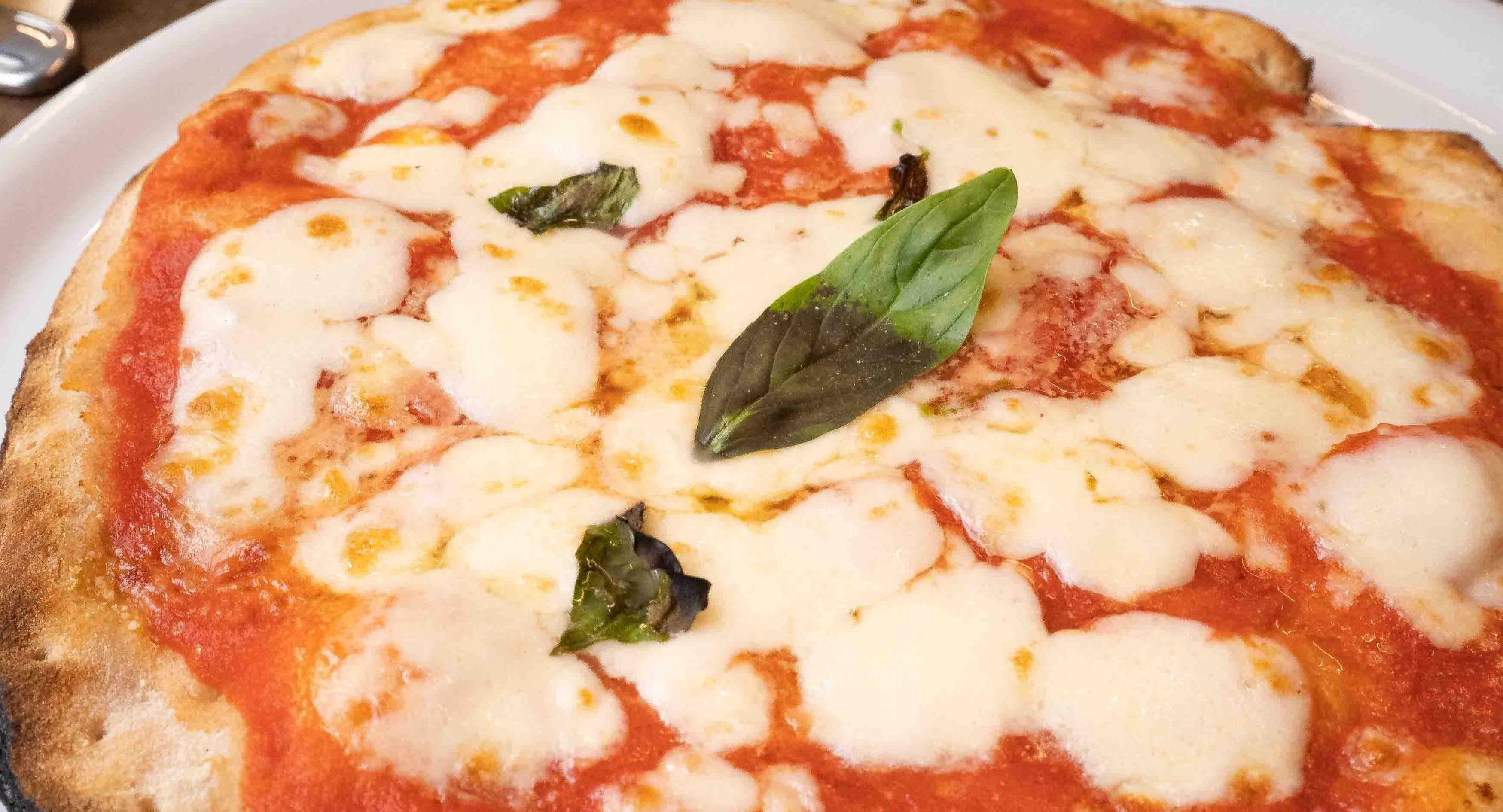 Garden Bar Sport photo 2