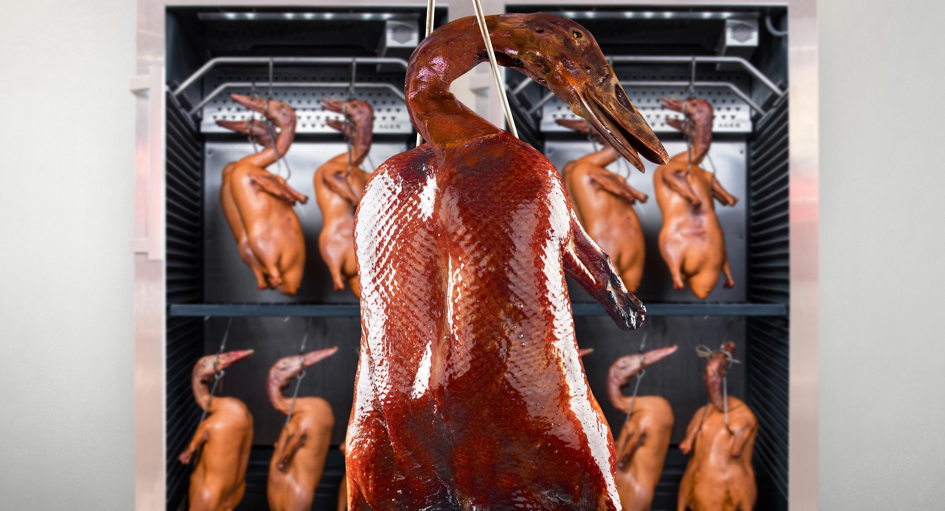 East Treasure Chinese Restaurant (東寶) - Woods Square photo 3