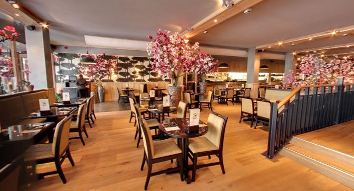 Sumo Nijmegen photo 5