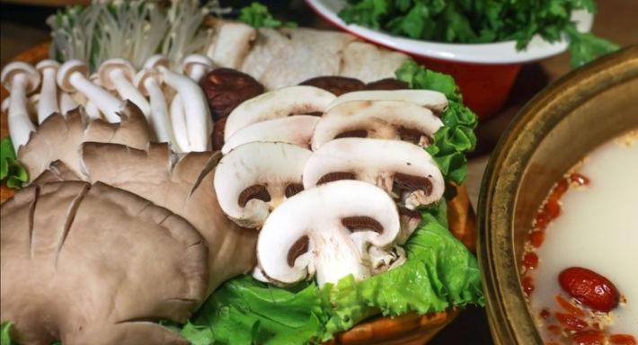 Little Lamb Sarpi photo 2