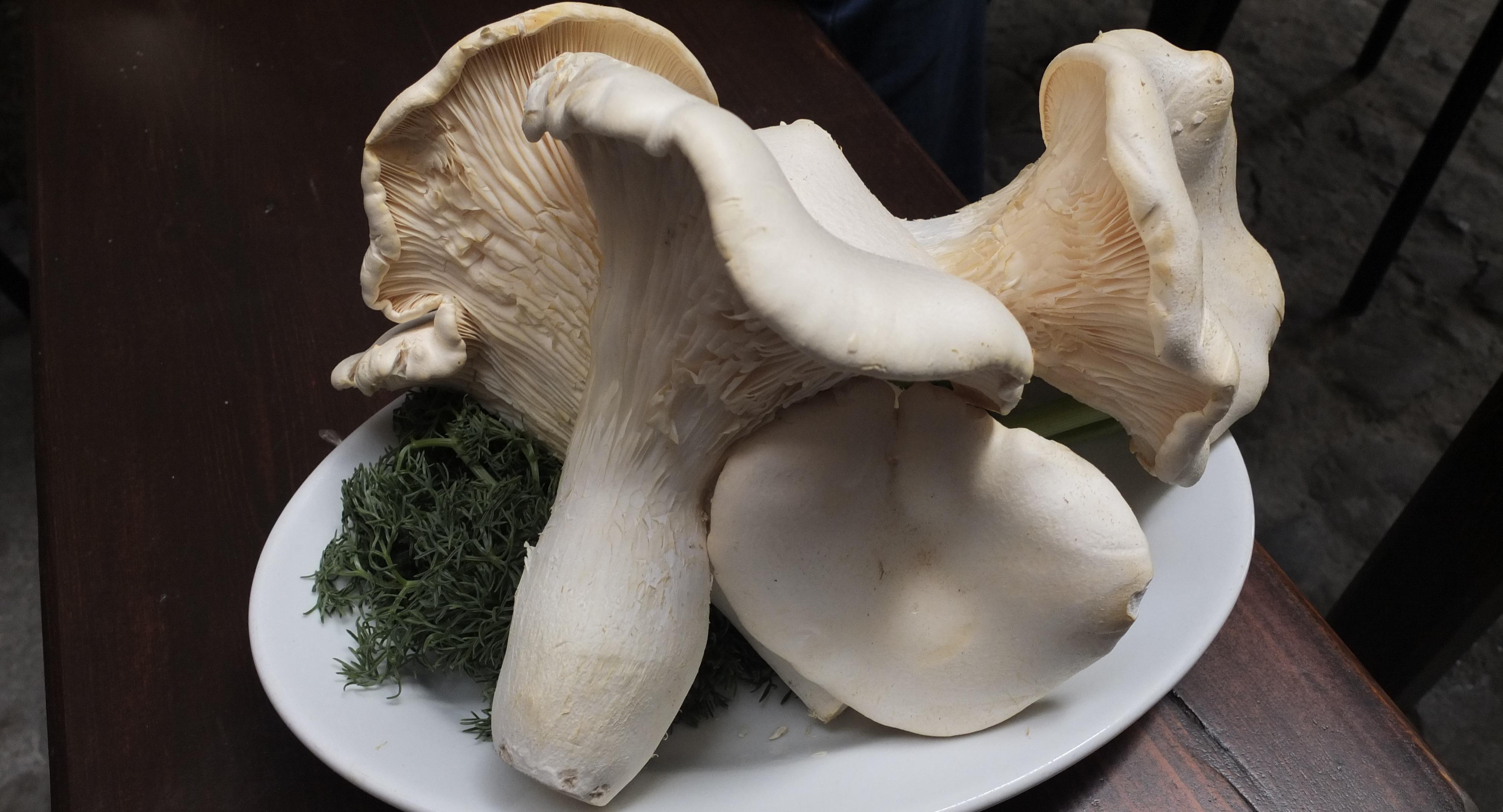 Ristorante Nangalaruni photo 4