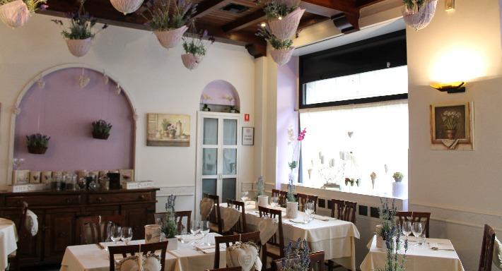 Noblesse Oblige photo 2