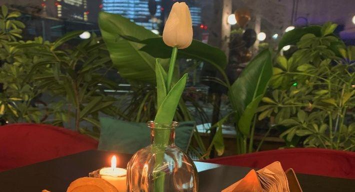 Cafe' Vigorelli Srl photo 3