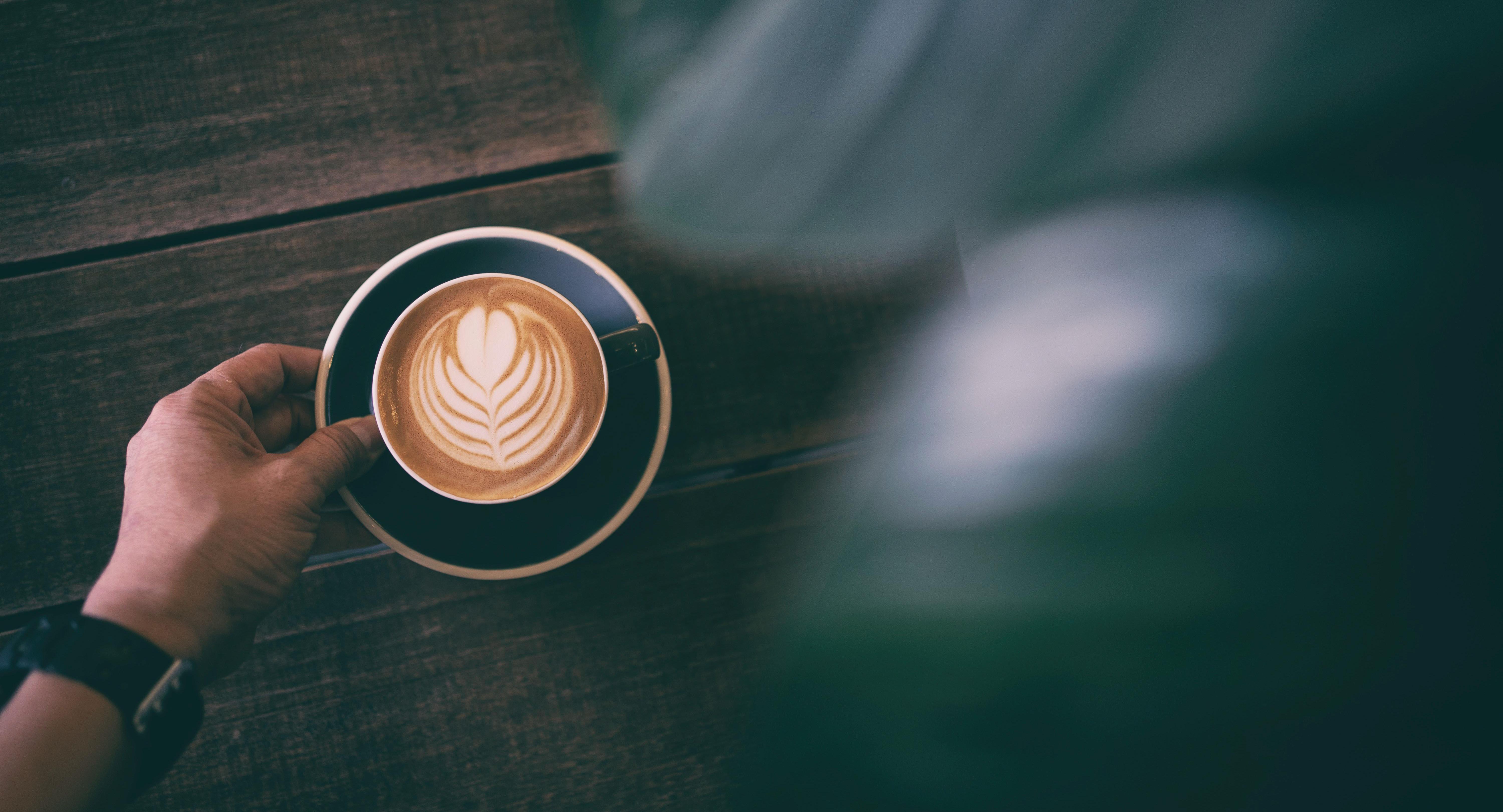 Dutch Colony Coffee Co. - Elementum photo 2