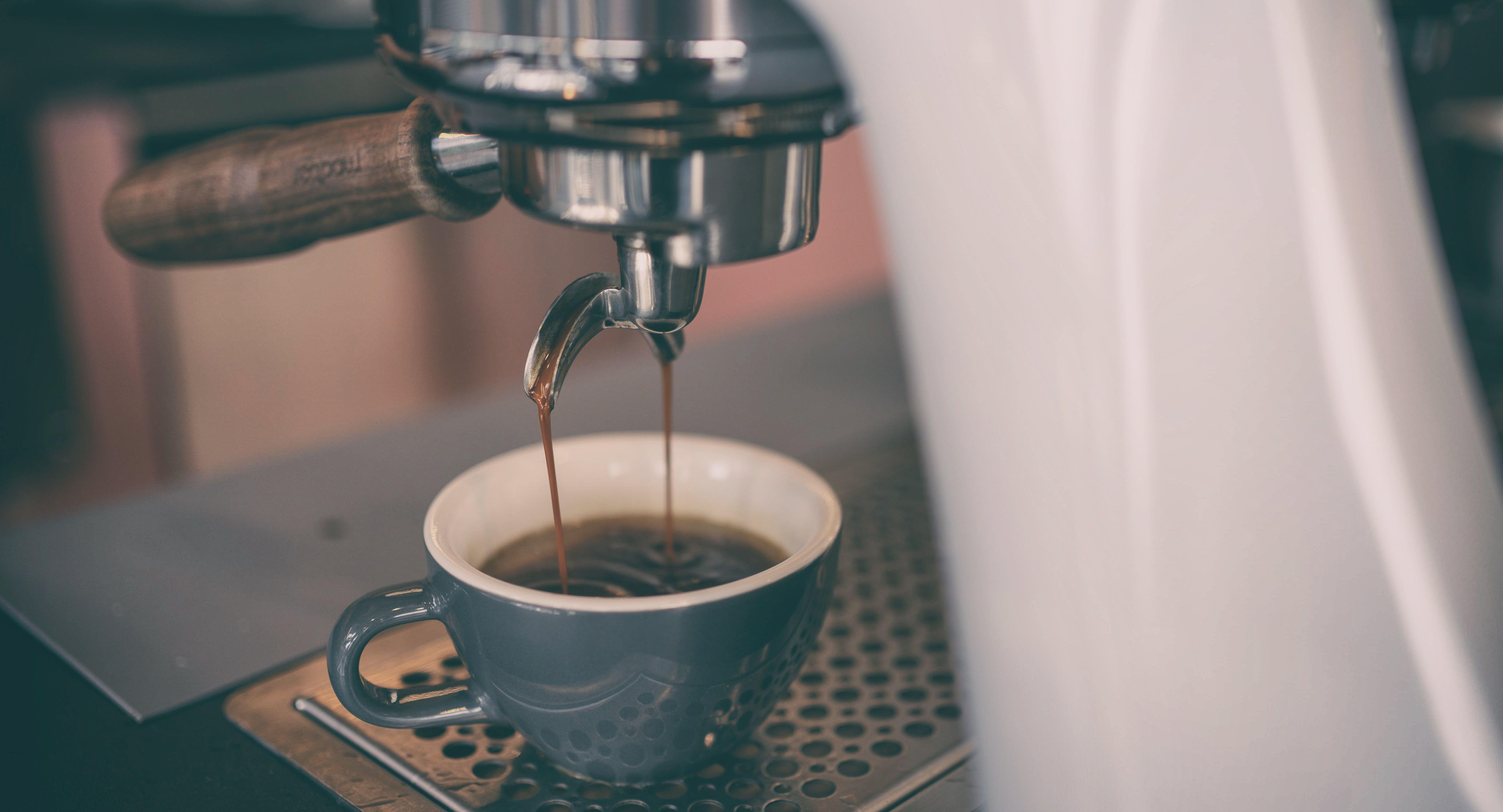 Dutch Colony Coffee Co. - Elementum photo 5