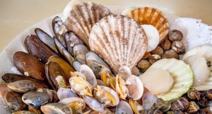 Tekong Seafood Restaurant