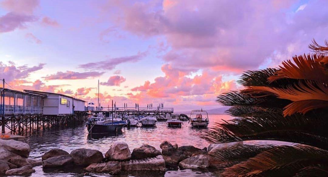 Ristorante O'Puledrone photo 2