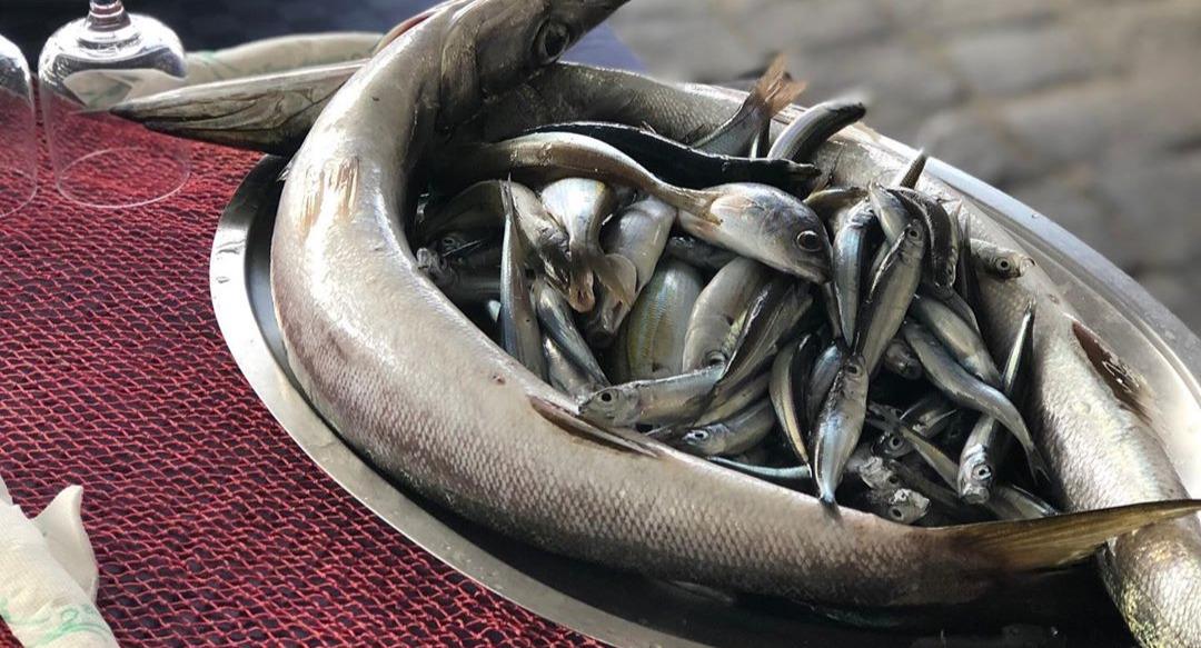 Ristorante O'Puledrone photo 3