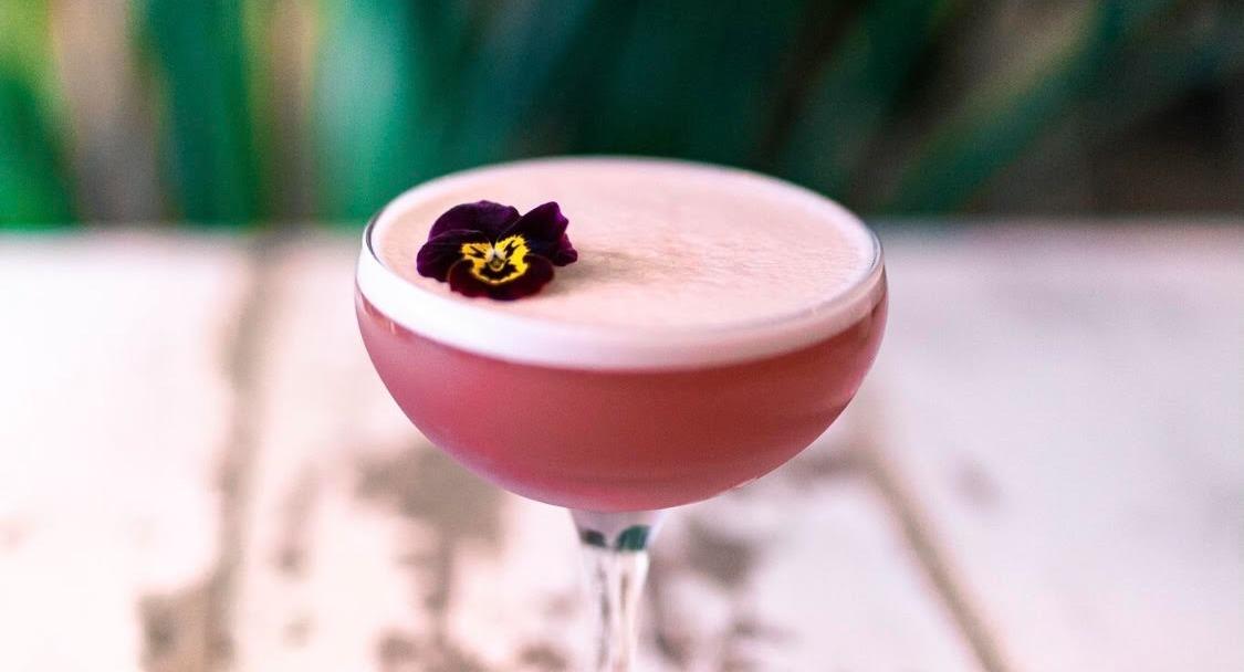 The Perseverance photo 3