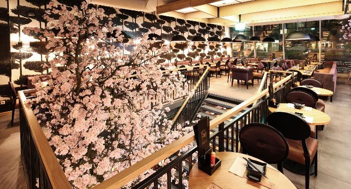 Sumo Markthal photo 3