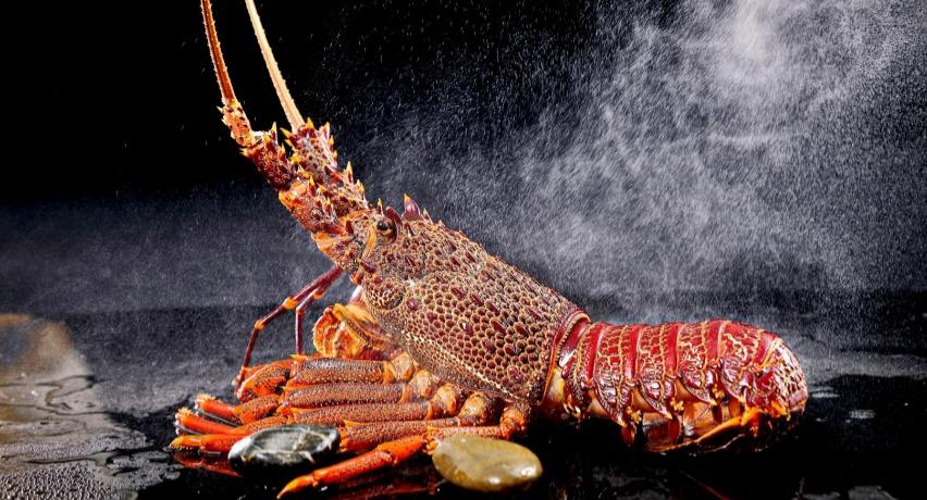 Xin Hai Feast 心海宴 - Bukit Panjang photo 2