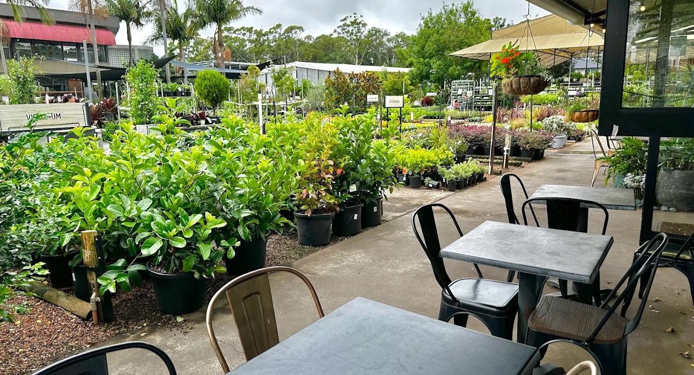 The Hidden Garden Cafe photo 4