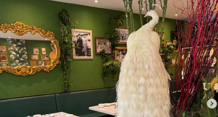 Yor Ying Thai Cuisine photo 2