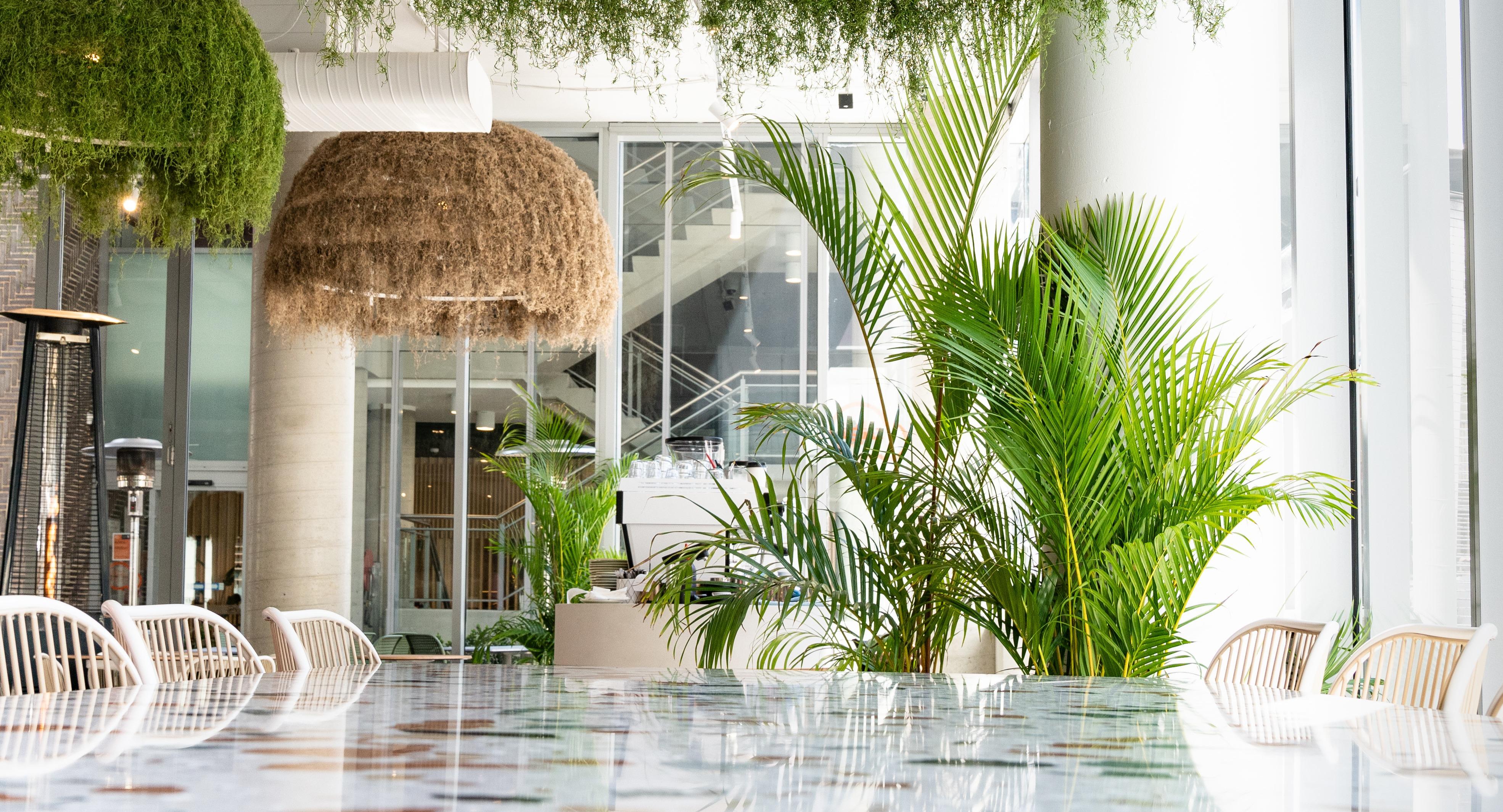 Concrete Jungle Cafe photo 2