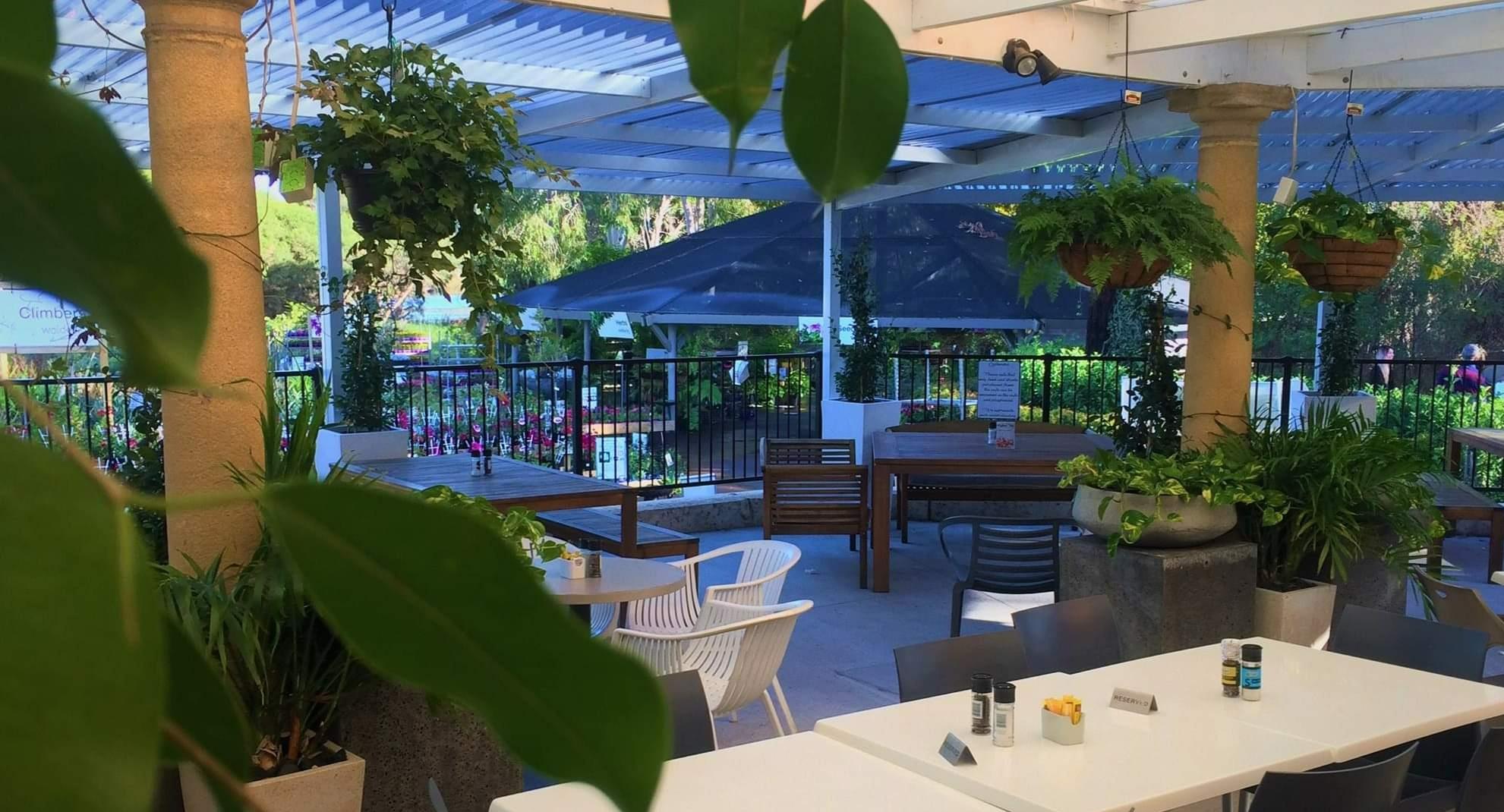 Lakeview Cafe photo 3