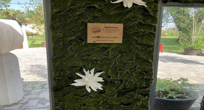 Ristorante Dolce Luna photo 5