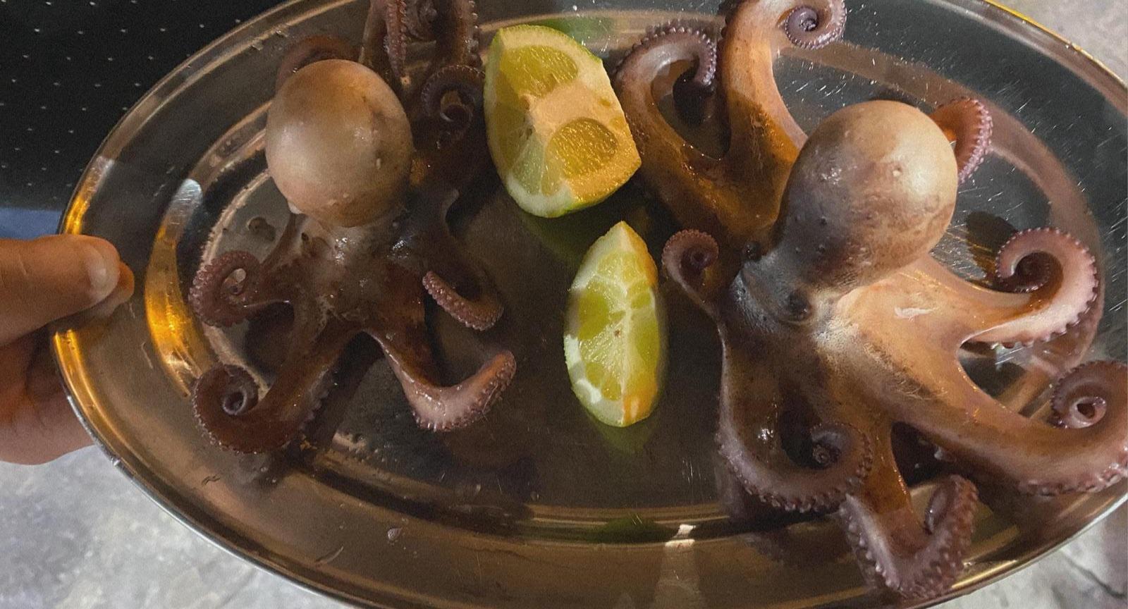 Trattoria da Salvo photo 5