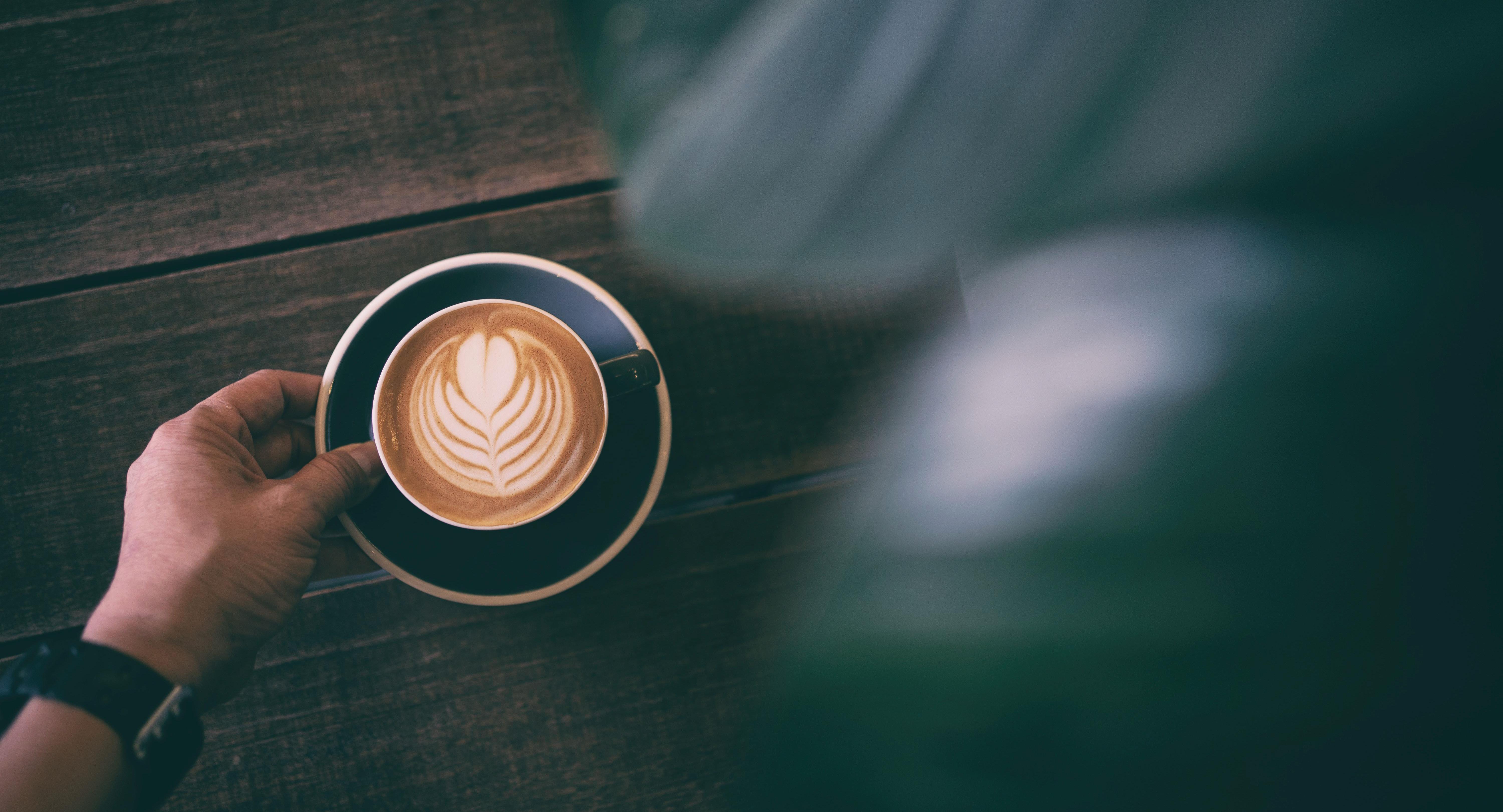 Dutch Colony Coffee Co. - Fusionopolis One photo 4