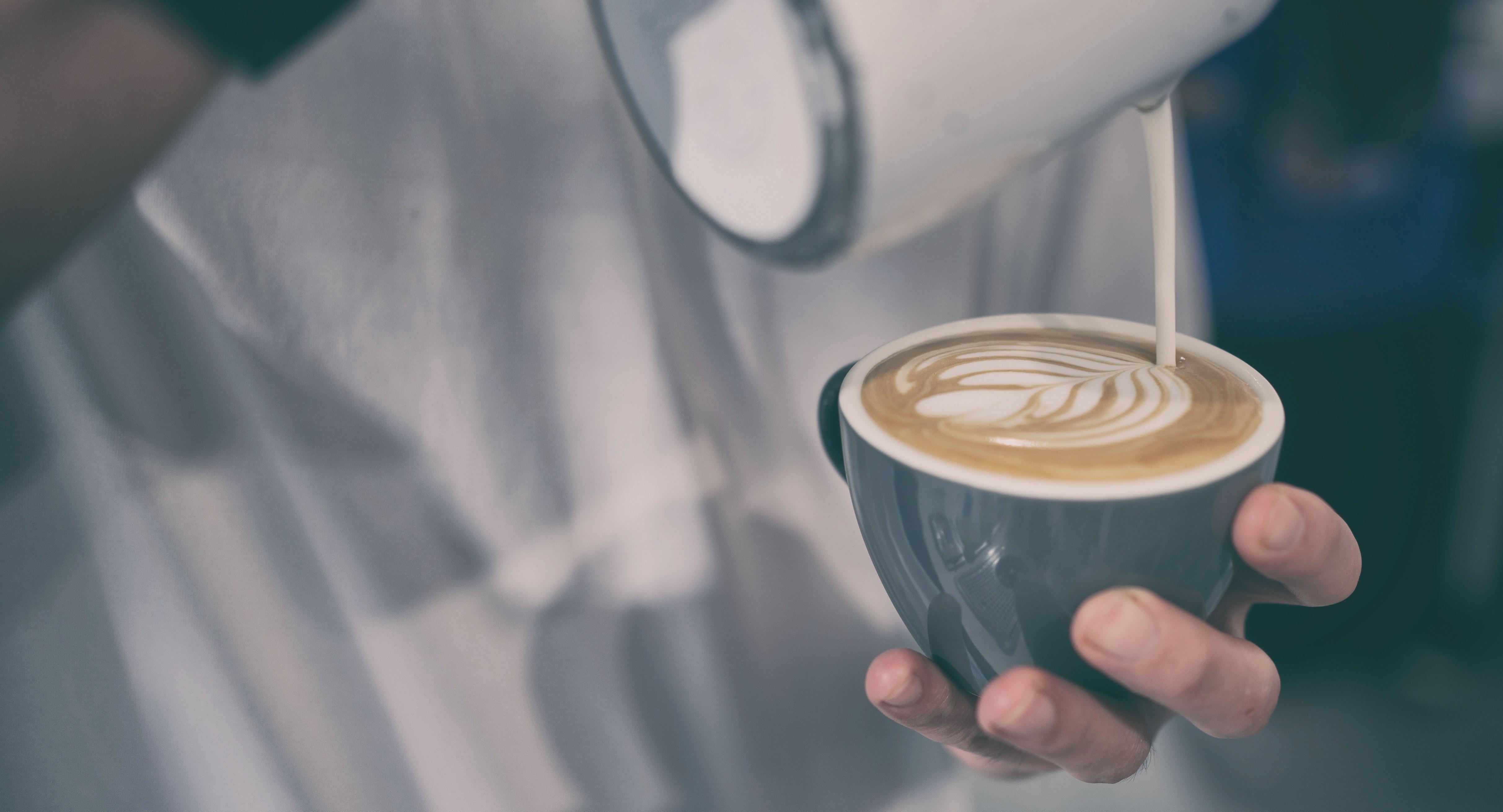 Dutch Colony Coffee Co. - Fusionopolis One photo 2