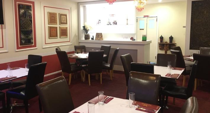 Festival India photo 2