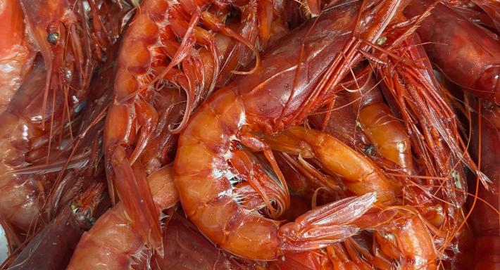 Educazione Marinara photo 4