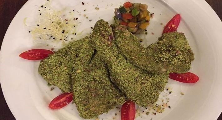 Taverna Al Paladino photo 2