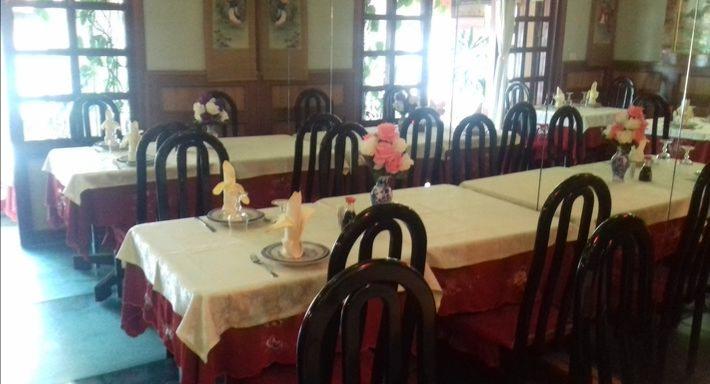 Ristorante Cinese Oriente photo 5