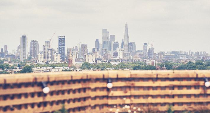 The Birds Nest photo 4