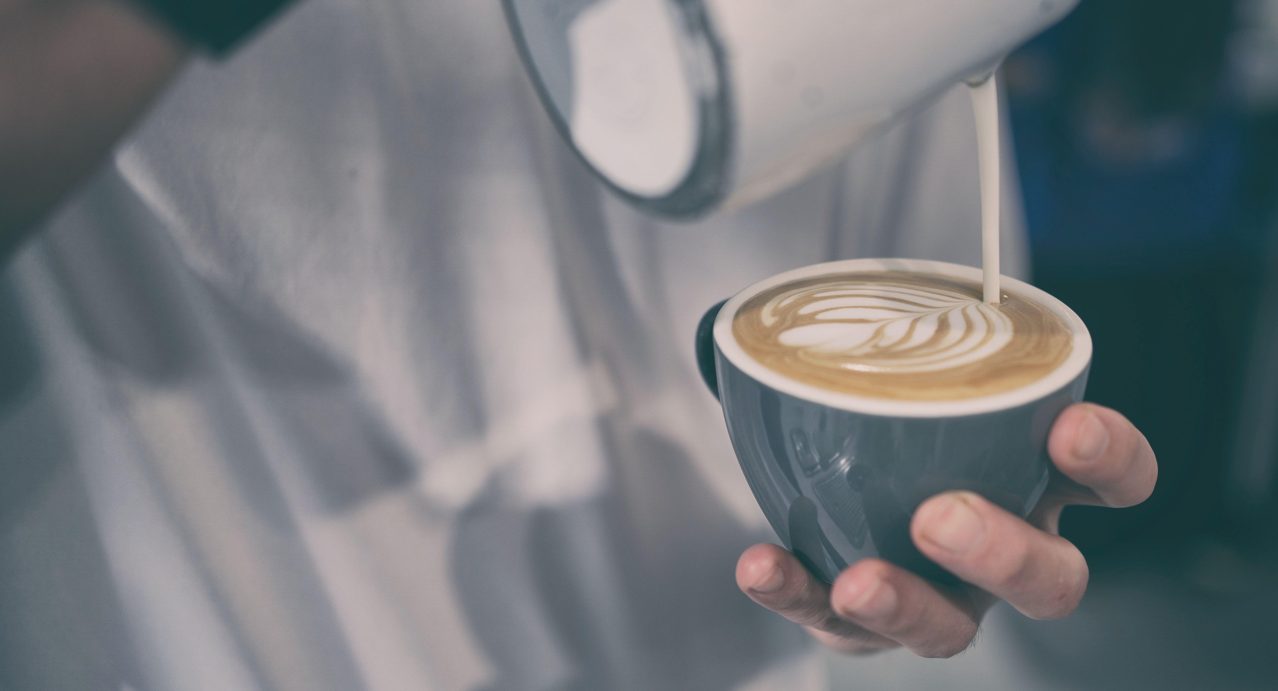 Dutch Colony Coffee Co. - UE Square Mall photo 3