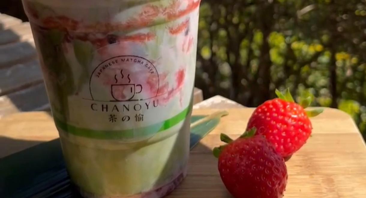 CHANOYU -Japanese Matcha Cafe- photo 4