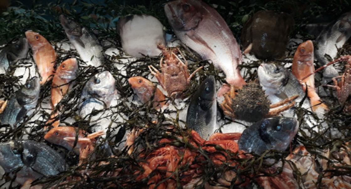 Ristorante Ezio Le Scalette Srl photo 3