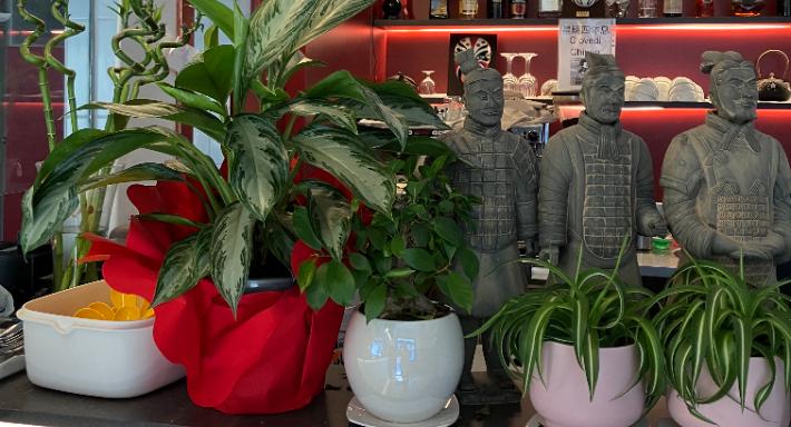 Xian 西安 torino photo 4