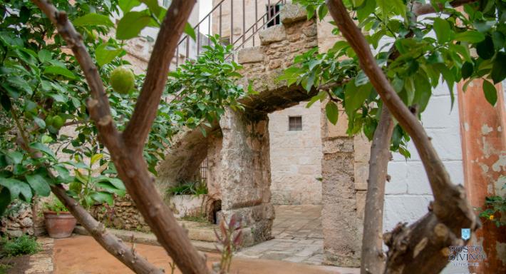 Posto Divino ai Tolomei photo 3