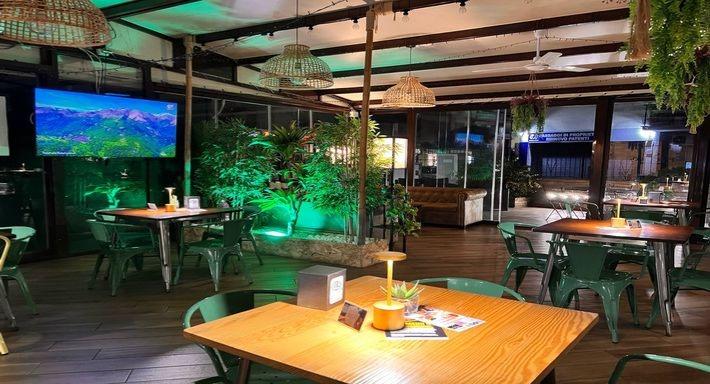 Friccico green bakery photo 2