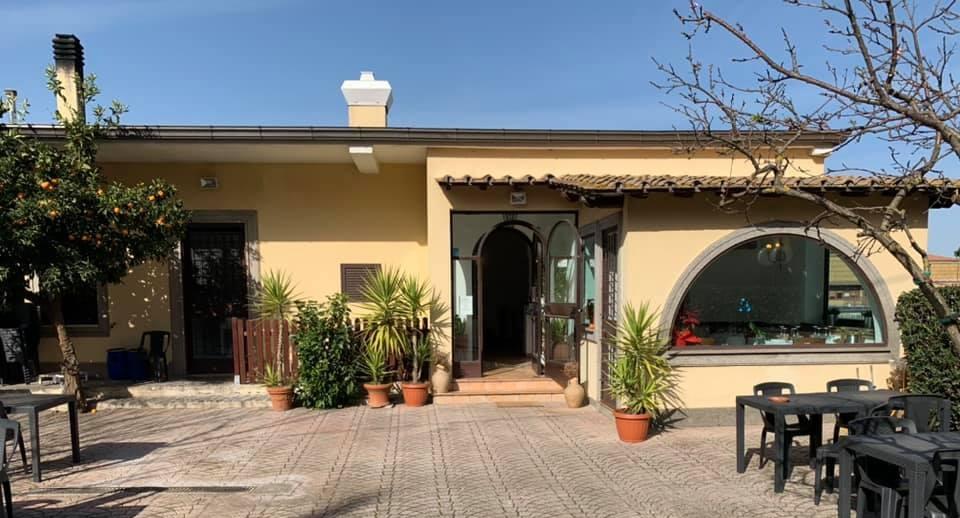 Palatoraffinato photo 3