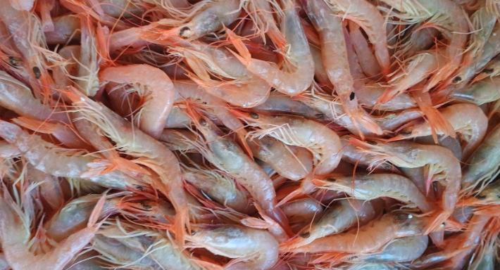 Addo'Piscator corso Vittorio Emanuele n69/71Acerra photo 3