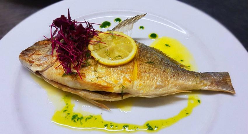 Portofino - Hanley photo 3