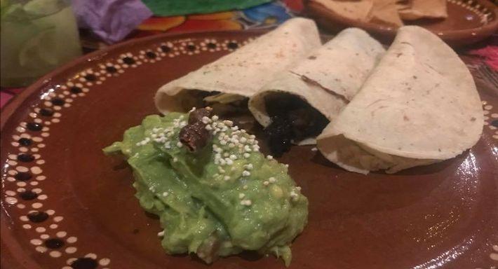 Habanero Genova photo 5