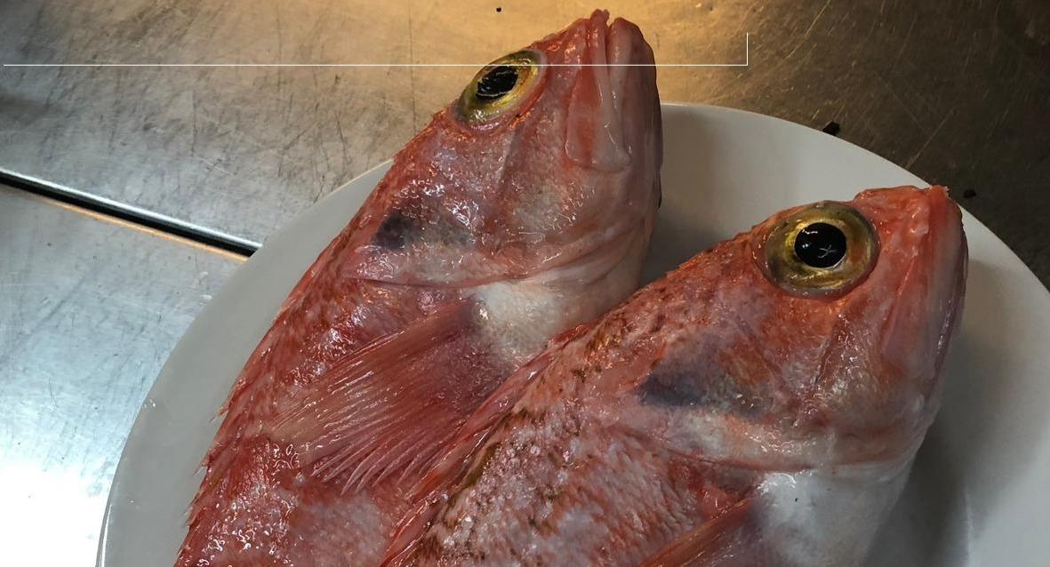 Add'ù Fratemo Trattoria e Pizzeria photo 5