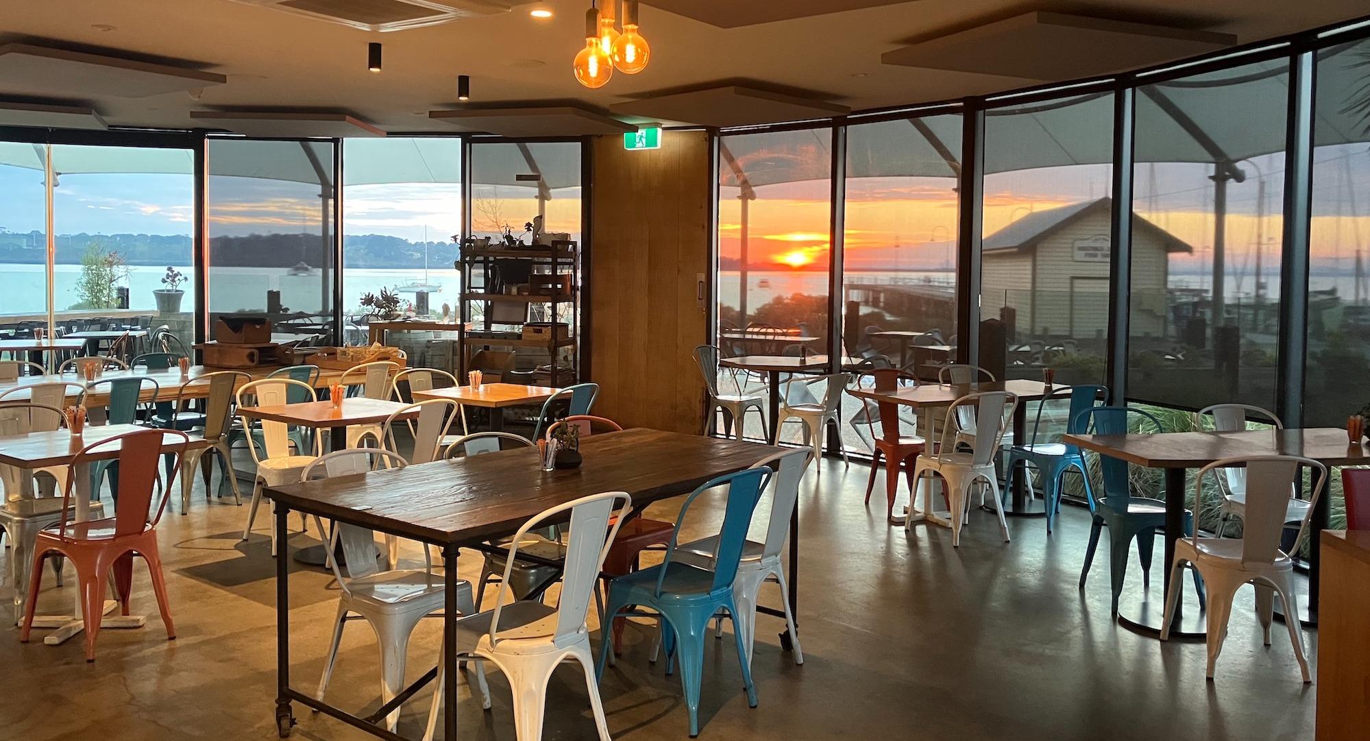 Pelikan Société photo 5