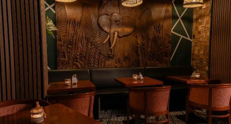 Noahs Ark Experimental Cocktail Club Wien photo 4