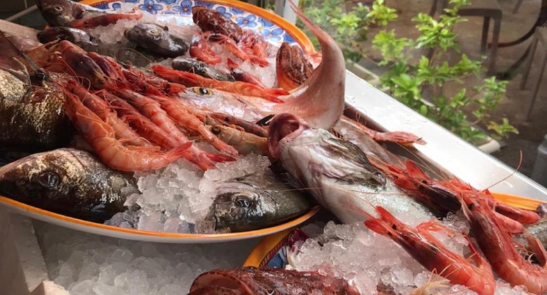 Trattoria da Enzo photo 2