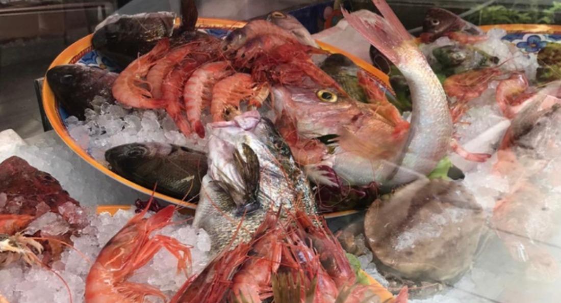 Trattoria da Enzo photo 4