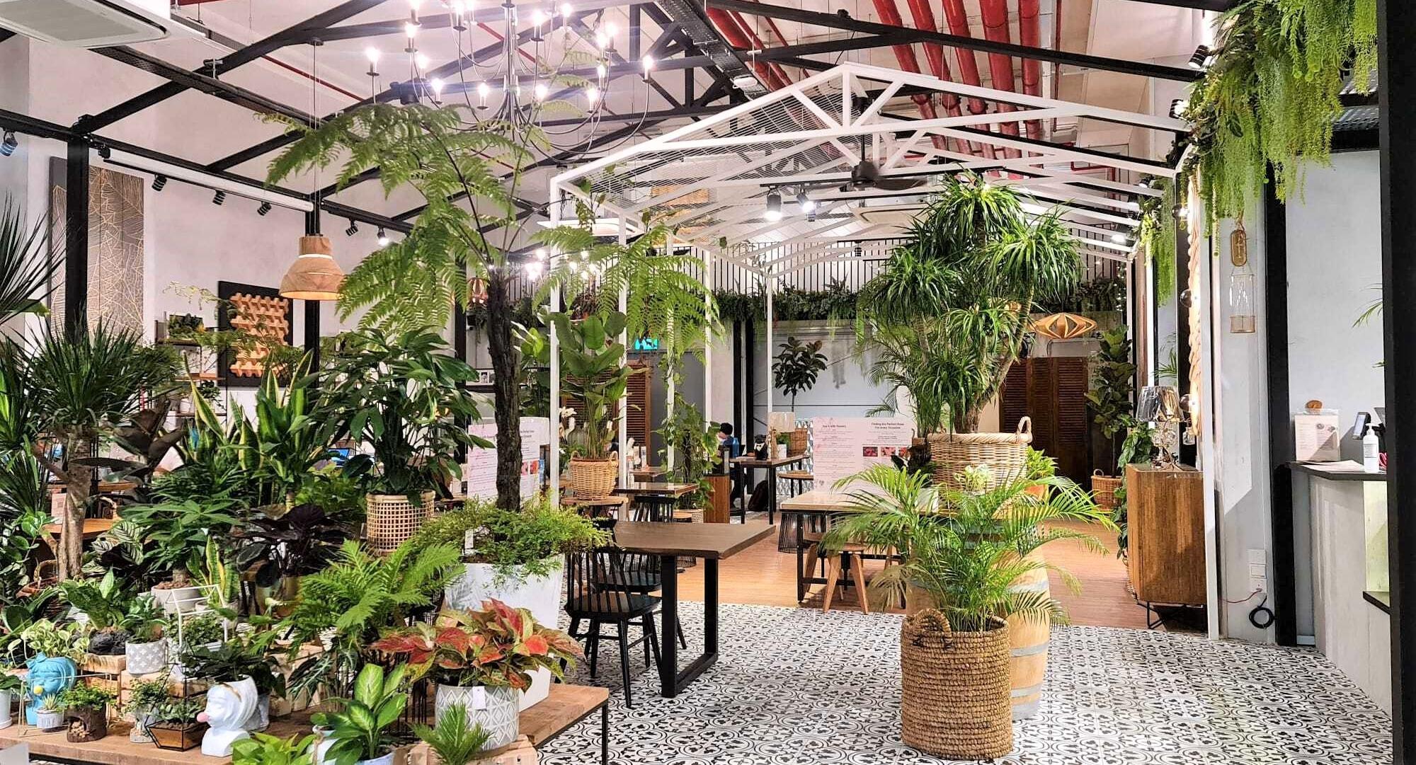 Knots Cafe and Living - Pasir Panjang