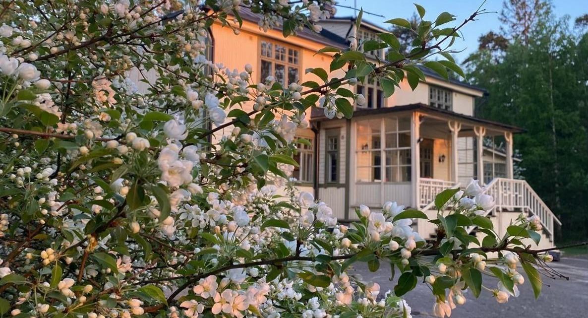 Villa Willinge photo 3