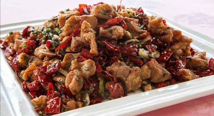 Lao Sichuan Restaurant(Jalan Besar) 老四川川菜馆(惹兰勿刹分店） photo 4