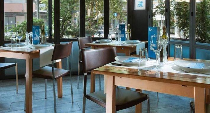 Pizzeria Prima O Poi photo 2